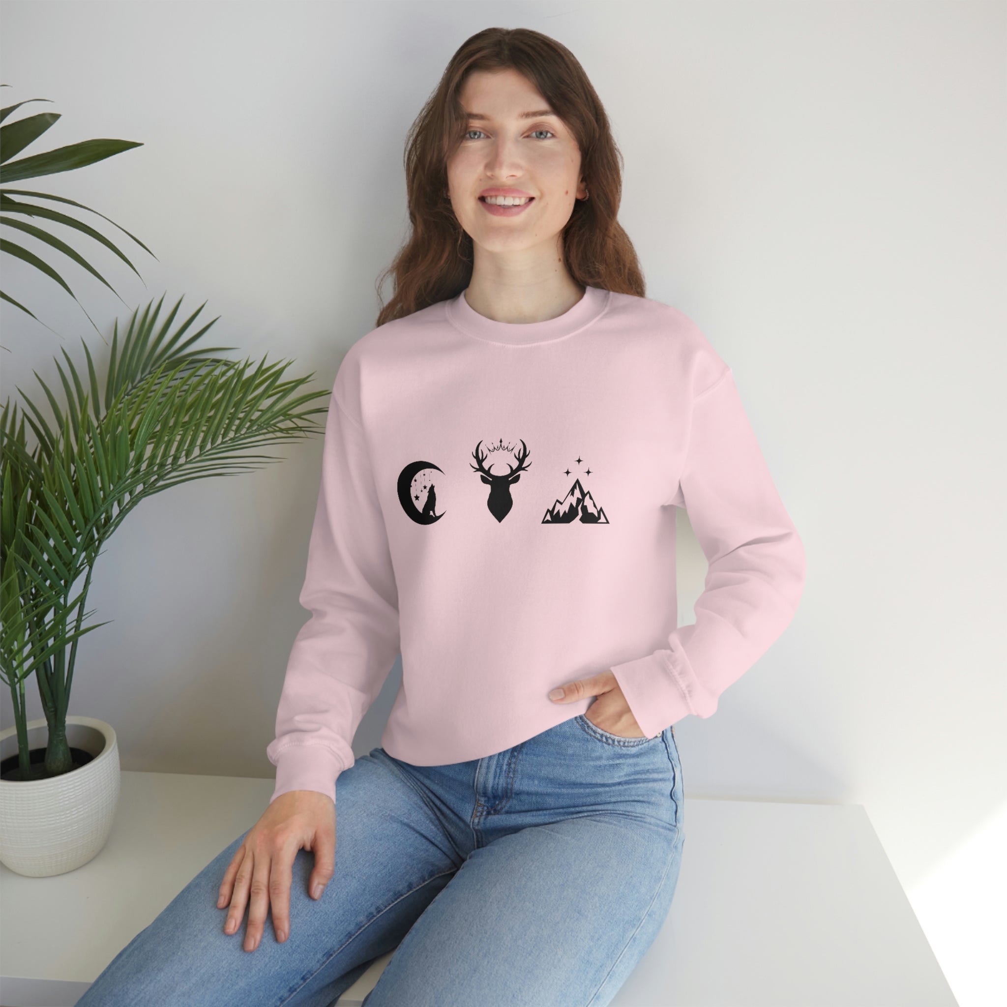 ACOTAR | TOG | CC Sweater
